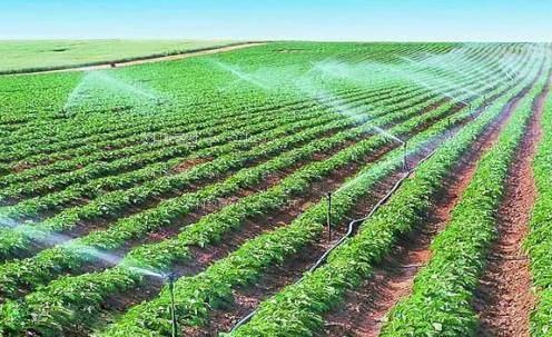 看黄片女人操农田高 效节水灌溉